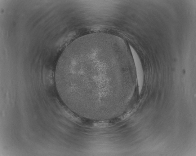 X0000072550470200607211403