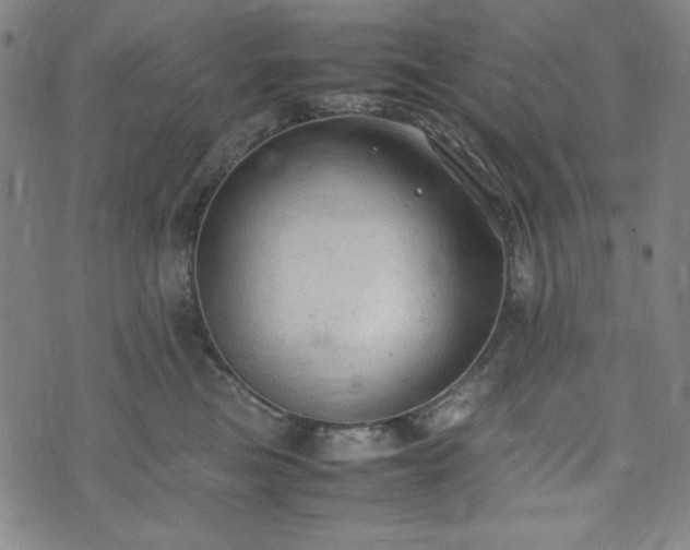 X0000072550473200607211403