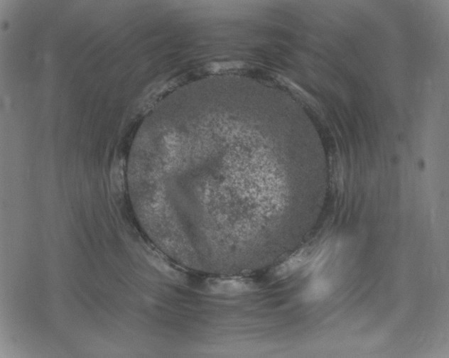 X0000072550475200607211403