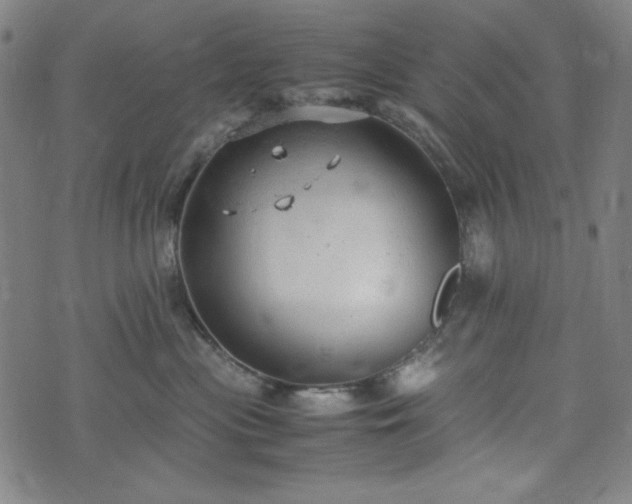 X0000072550477200607211403