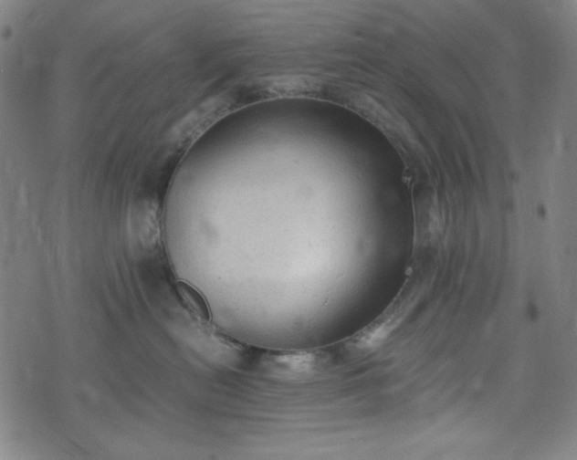 X0000072550478200607211403