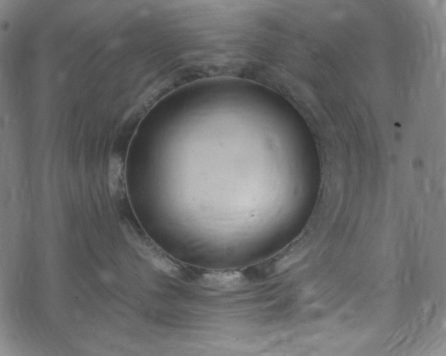 X0000072550480200607211404