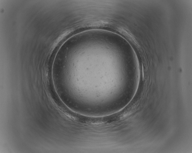 X0000072550483200607211403