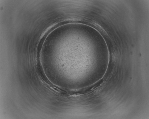 X0000072550484200607211403