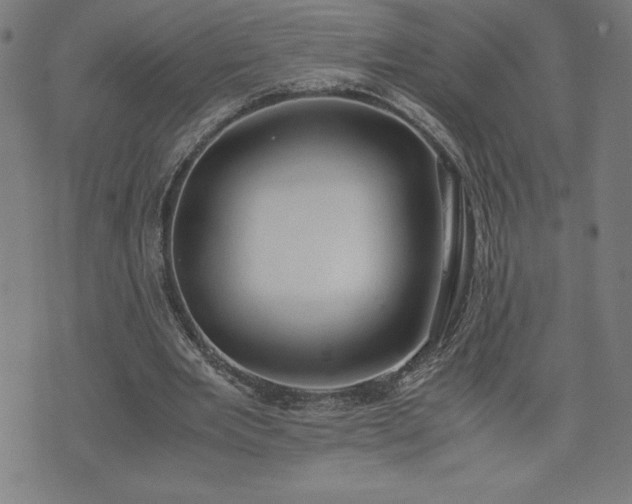 X0000072550485200607211403