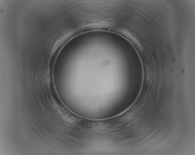 X0000072550486200607211403