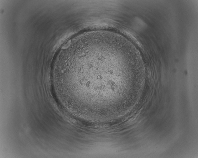 X0000072550487200607211403