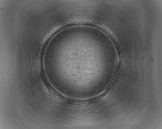 X0000072550488200607211403