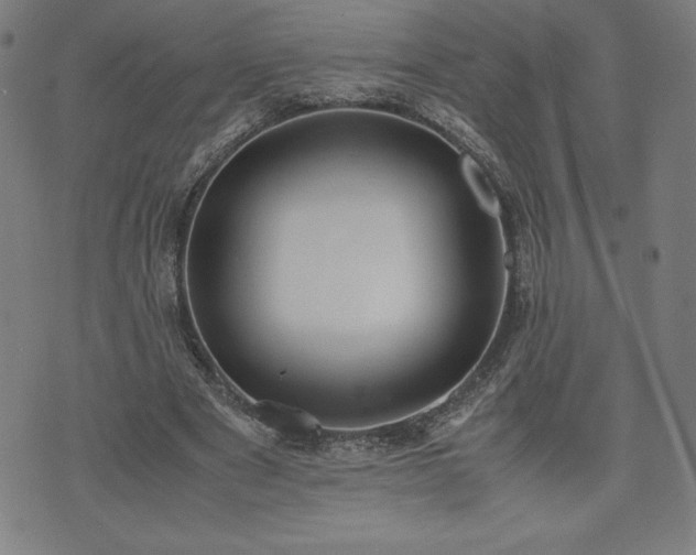 X0000072550489200607211403