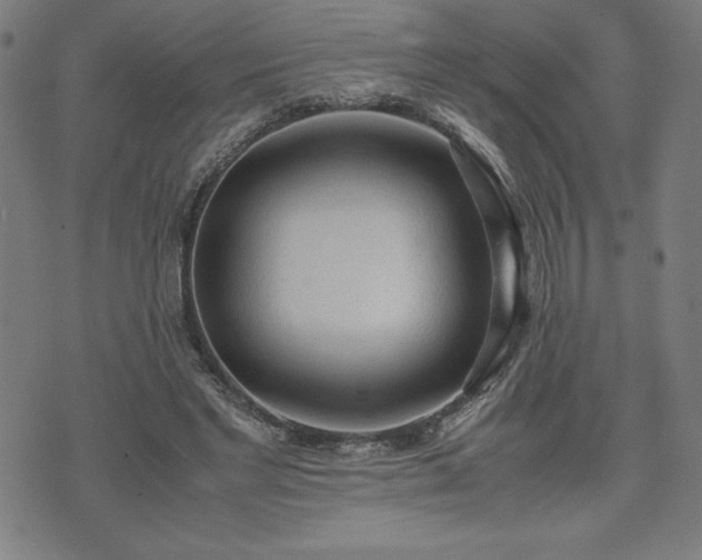 X0000072550493200607211403