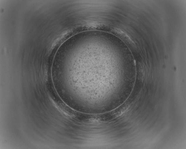 X0000072550496200607211403