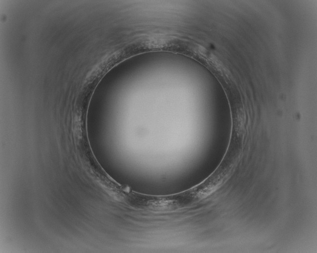 X0000072550497200607211402