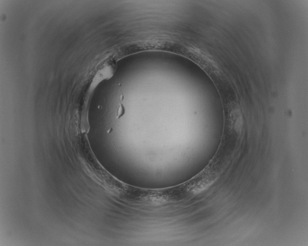 X0000072550498200607211402