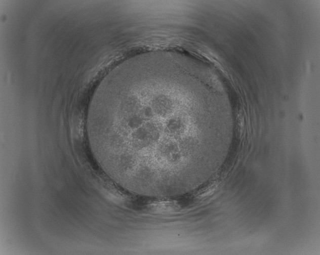 X0000072550499200607211402