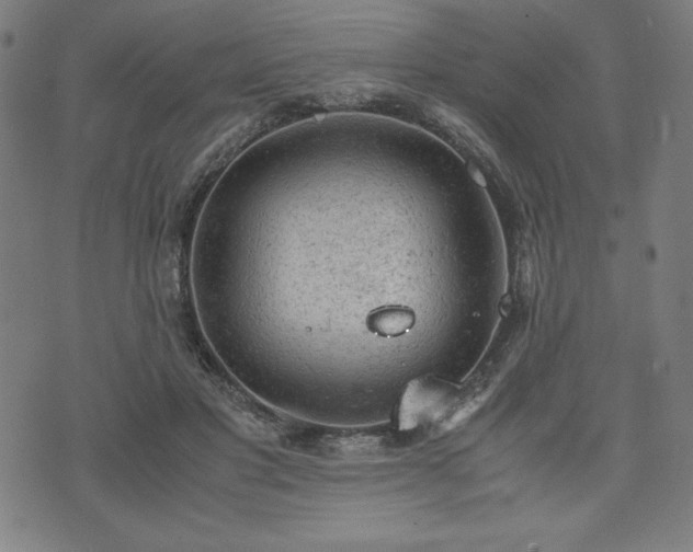 X0000072550501200607211402