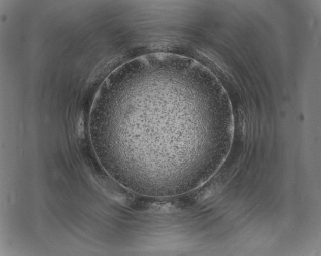 X0000072550502200607211402