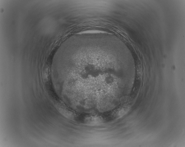 X0000072550503200607211402