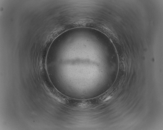 X0000072550504200607211402