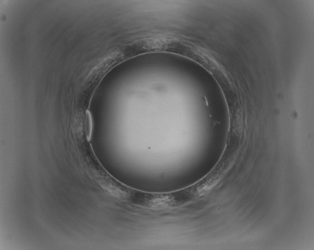 X0000072550505200607211402