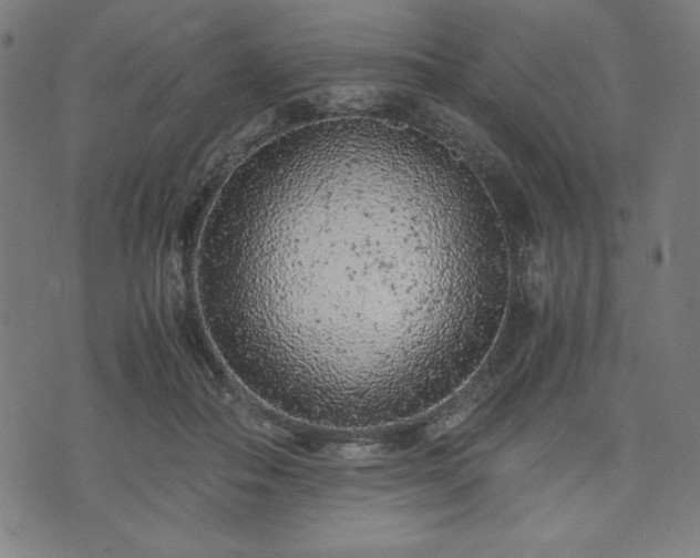 X0000072550506200607211402