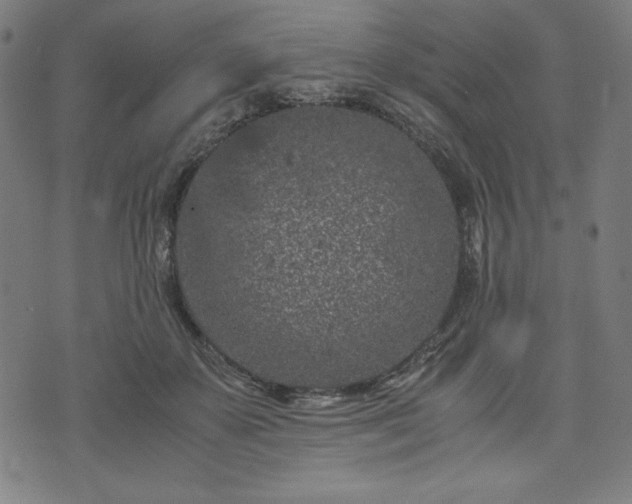 X0000072550507200607211402