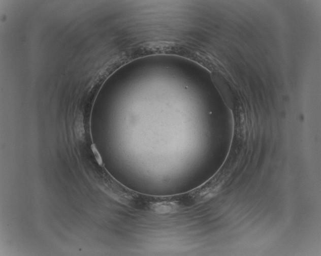 X0000072550508200607211402