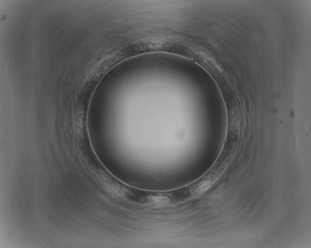 X0000072550509200607211402