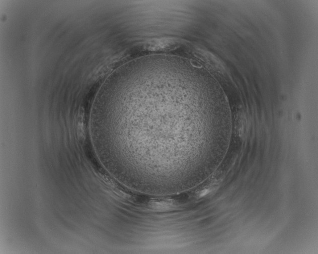 X0000072550510200607211402