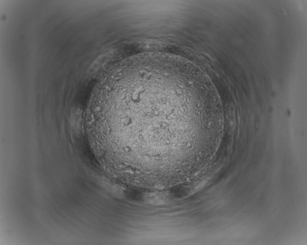 X0000072550511200607211402