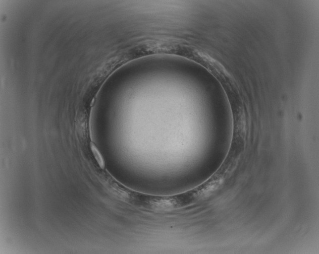 X0000072550513200607211402