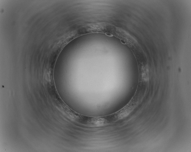 X0000072550514200607211402