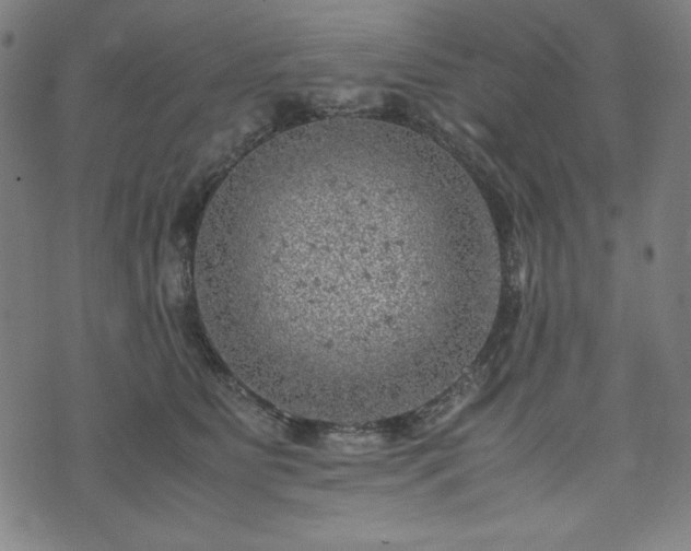 X0000072550515200607211402