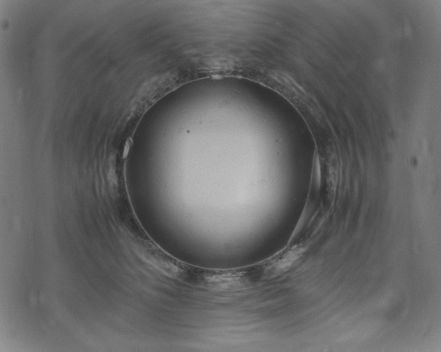 X0000072550516200607211402