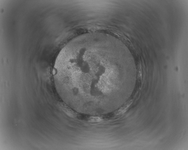 X0000072550519200607211402