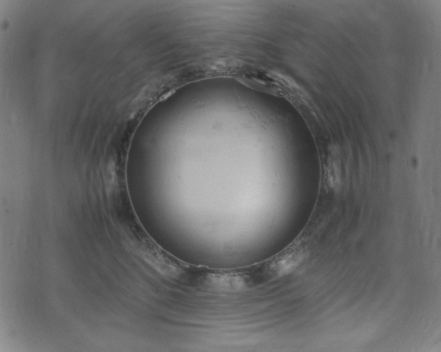 X0000072550520200607211402