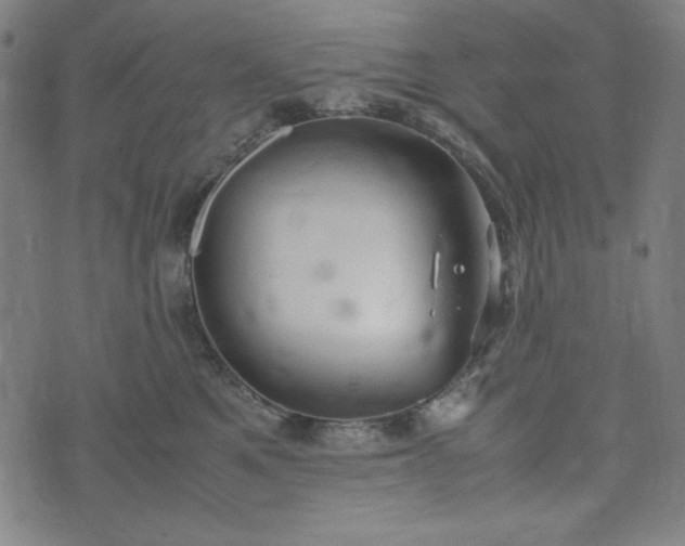 X0000072550521200607211402