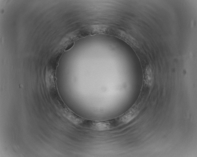 X0000072550522200607211402