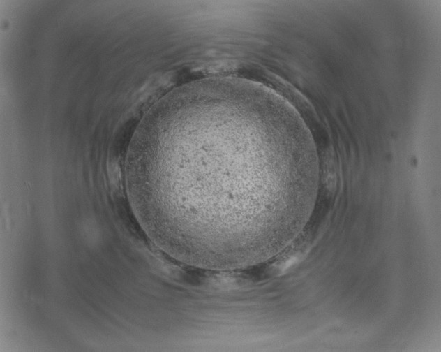 X0000072550523200607211402