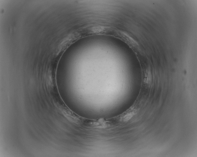 X0000072550524200607211402