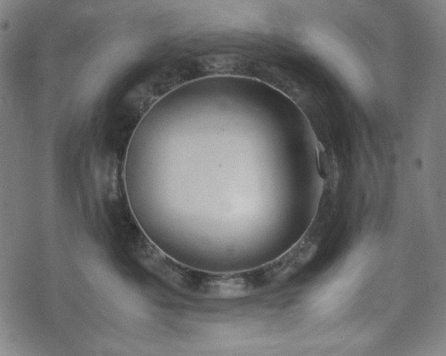 X0000072550525200607211402