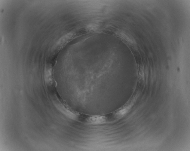 X0000072550526200607211402