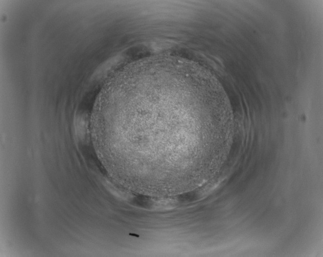 X0000072550527200607211402