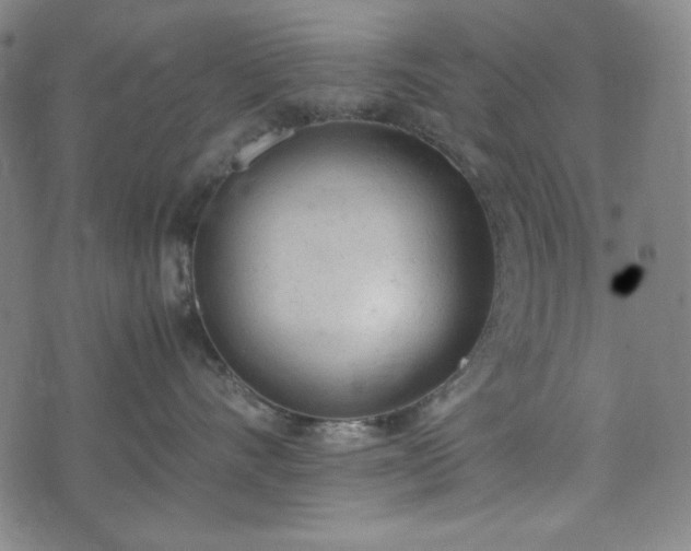 X0000072550528200607211402