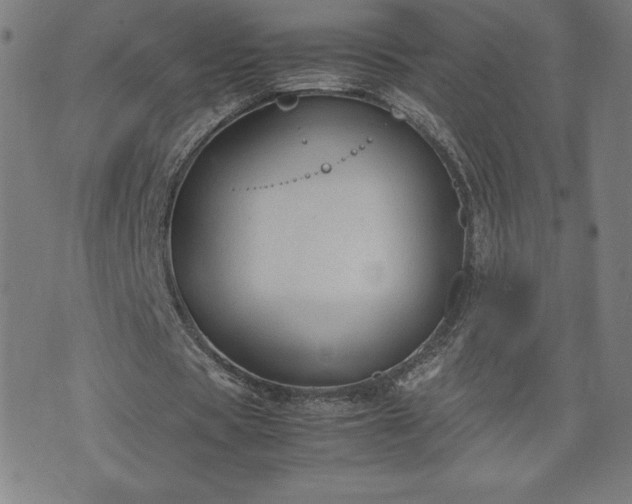 X0000072550529200607211401