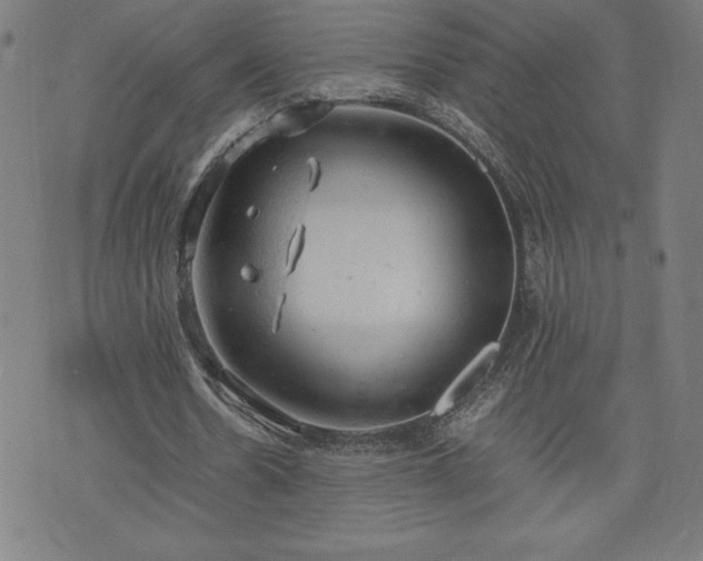 X0000072550530200607211401