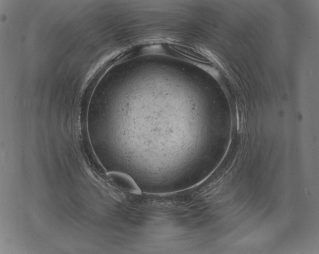 X0000072550531200607211401