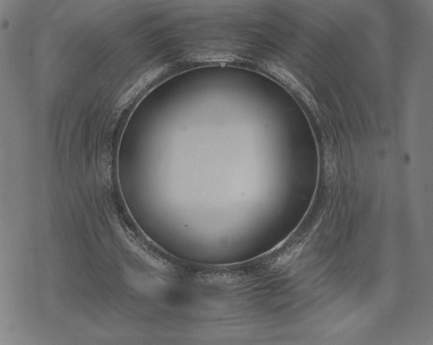 X0000072550533200607211401