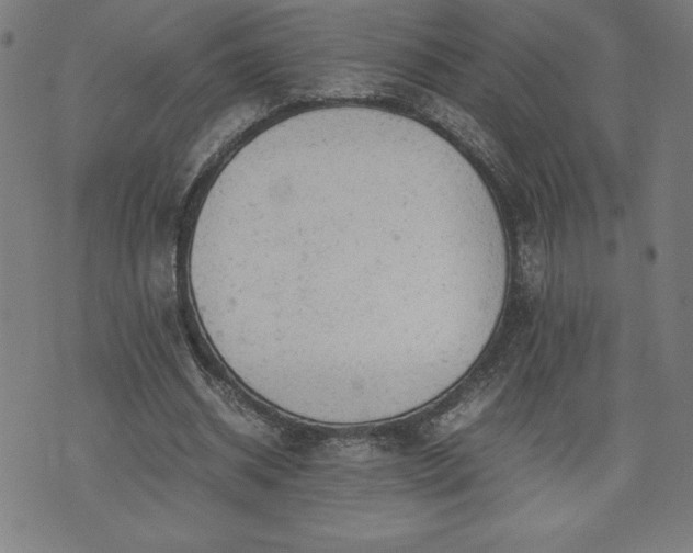 X0000072550534200607211401