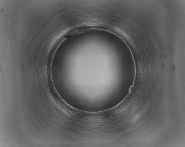 X0000072550535200607211401