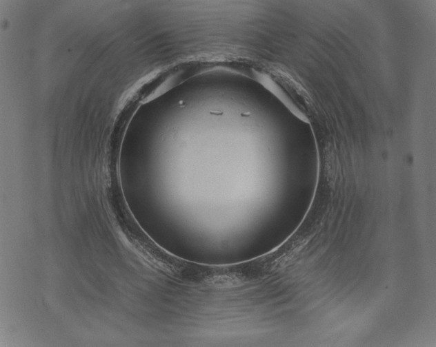 X0000072550536200607211401